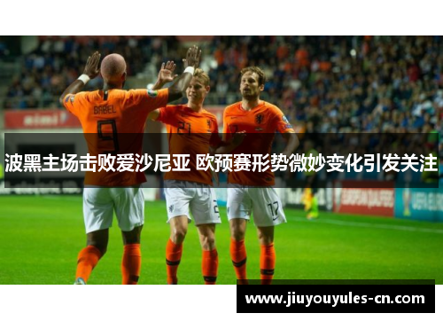 波黑主场击败爱沙尼亚 欧预赛形势微妙变化引发关注