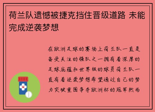 荷兰队遗憾被捷克挡住晋级道路 未能完成逆袭梦想