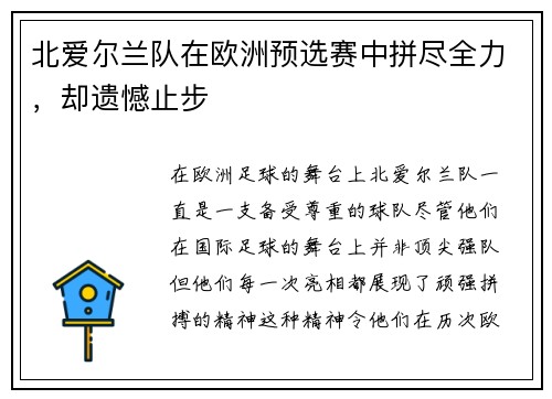 北爱尔兰队在欧洲预选赛中拼尽全力，却遗憾止步